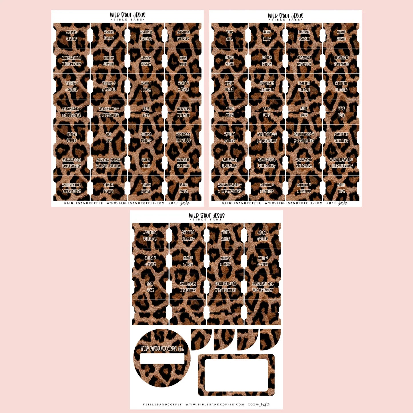 Wild Bout Jesus Bible Tabs