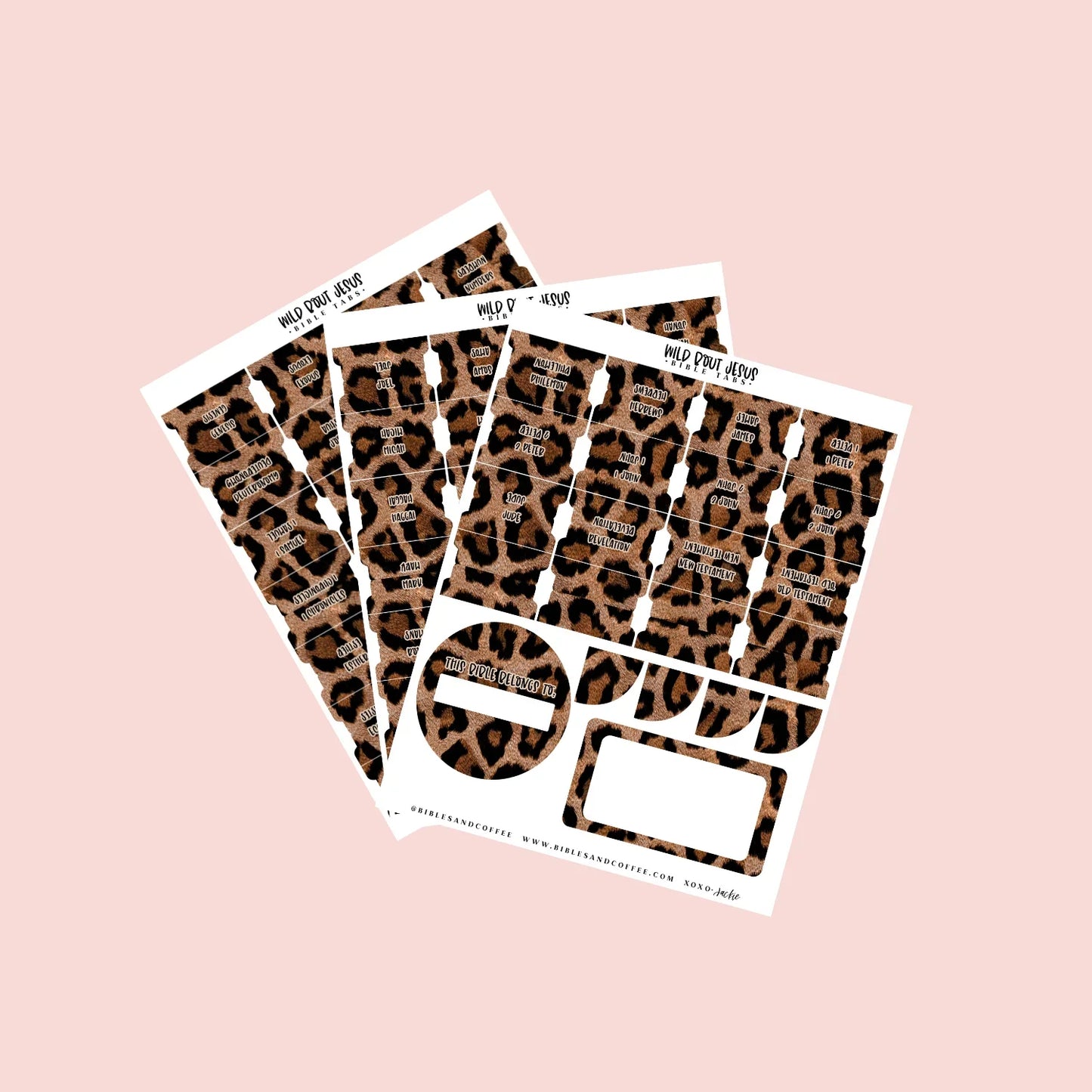 Wild Bout Jesus Bible Tabs