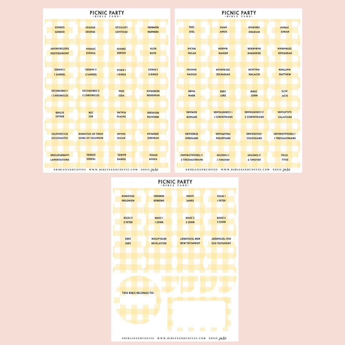 Picnic Party Bible Tabs
