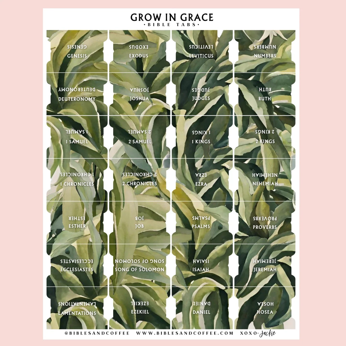 Grow in Grace Bible Tabs