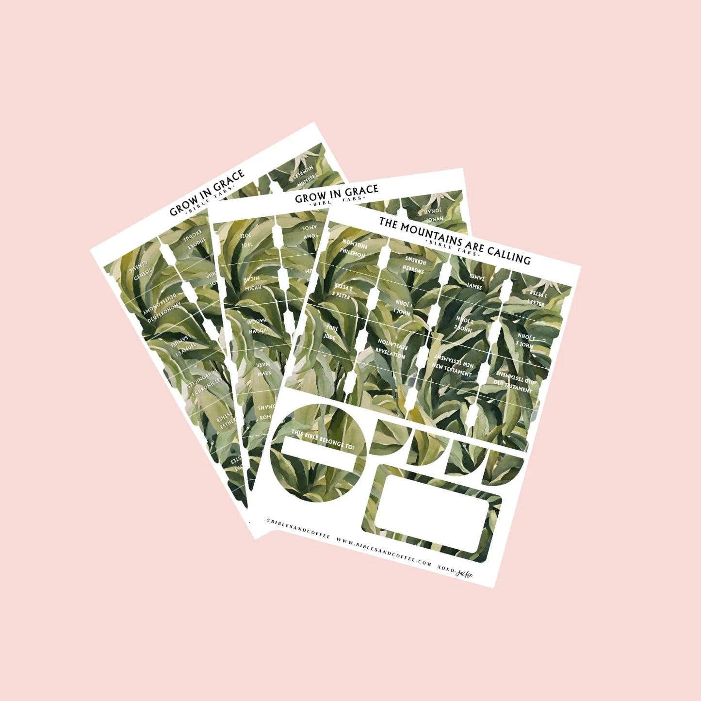 Grow in Grace Bible Tabs
