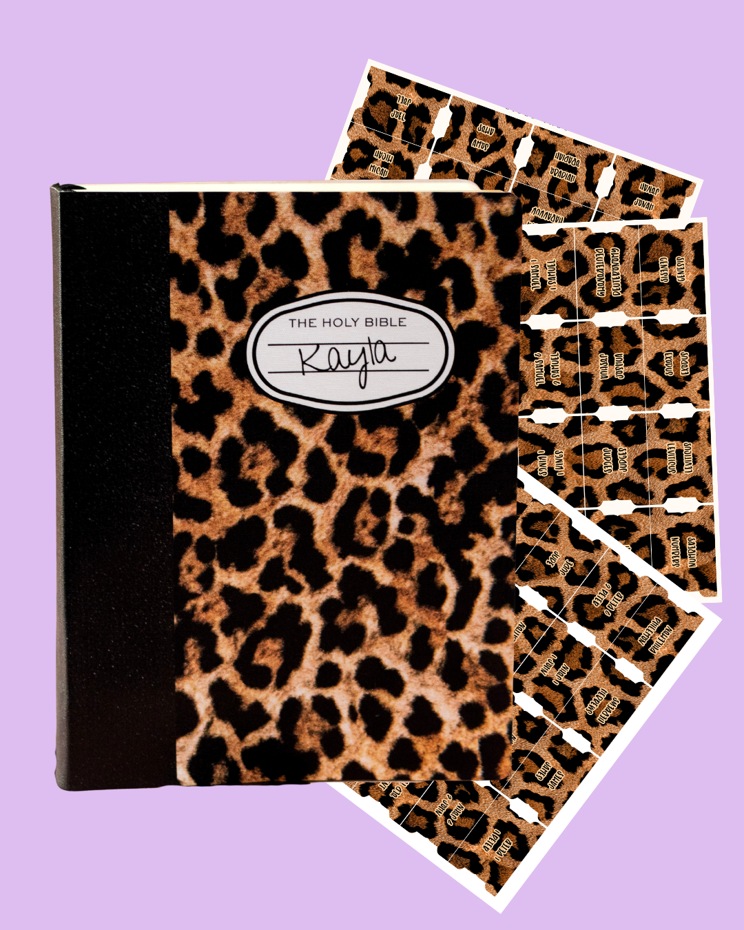 Wildly Simple Canvas Bible