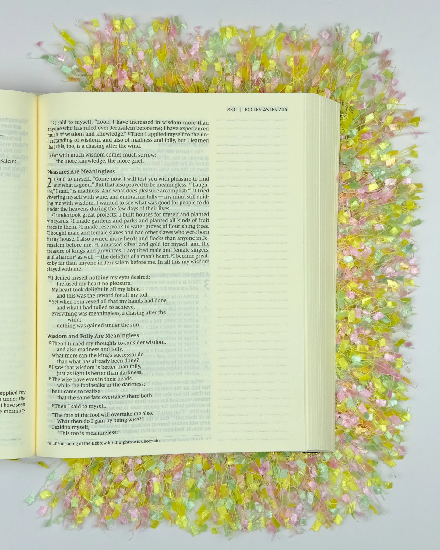 Joyful Edge - Bible Fringe
