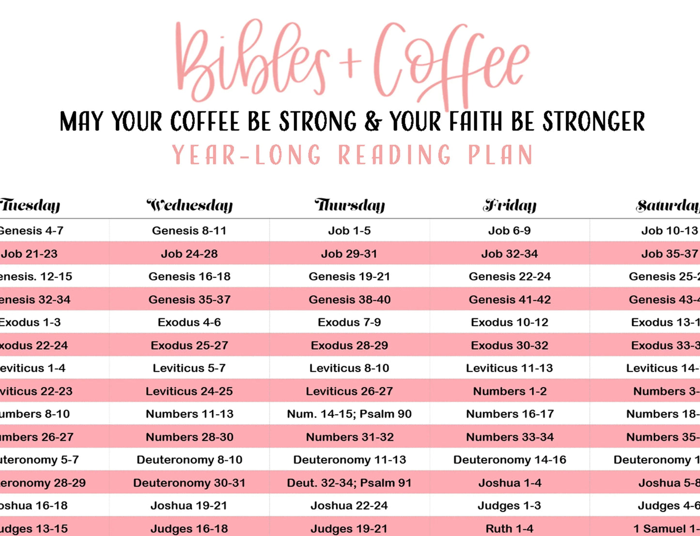 365 Day Chronological Reading Plan (Digital Download) - Bibles and Coffee
