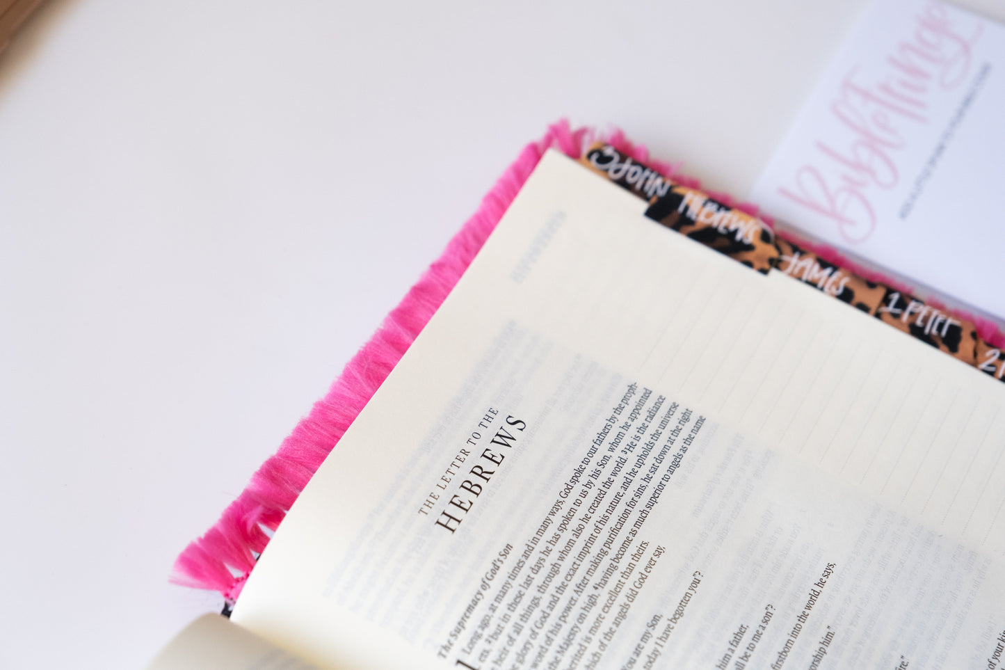 Neon Pink - Bible Fringe