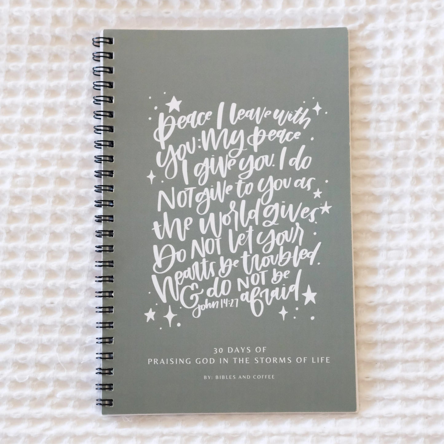 Praising God 30 Day Devotional Journal