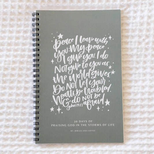 Praising God 30 Day Devotional Journal