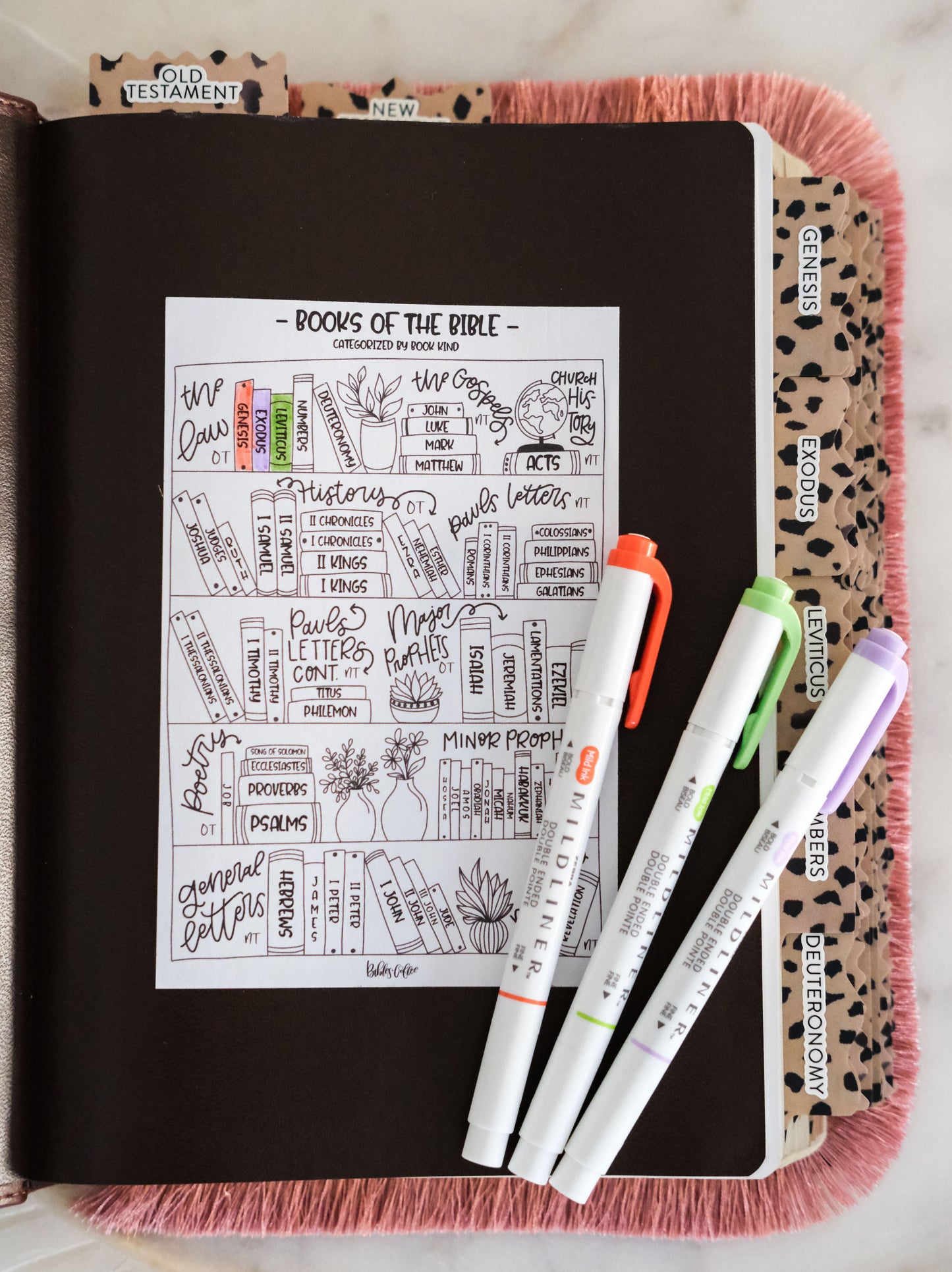 Books of the Bible Sticker