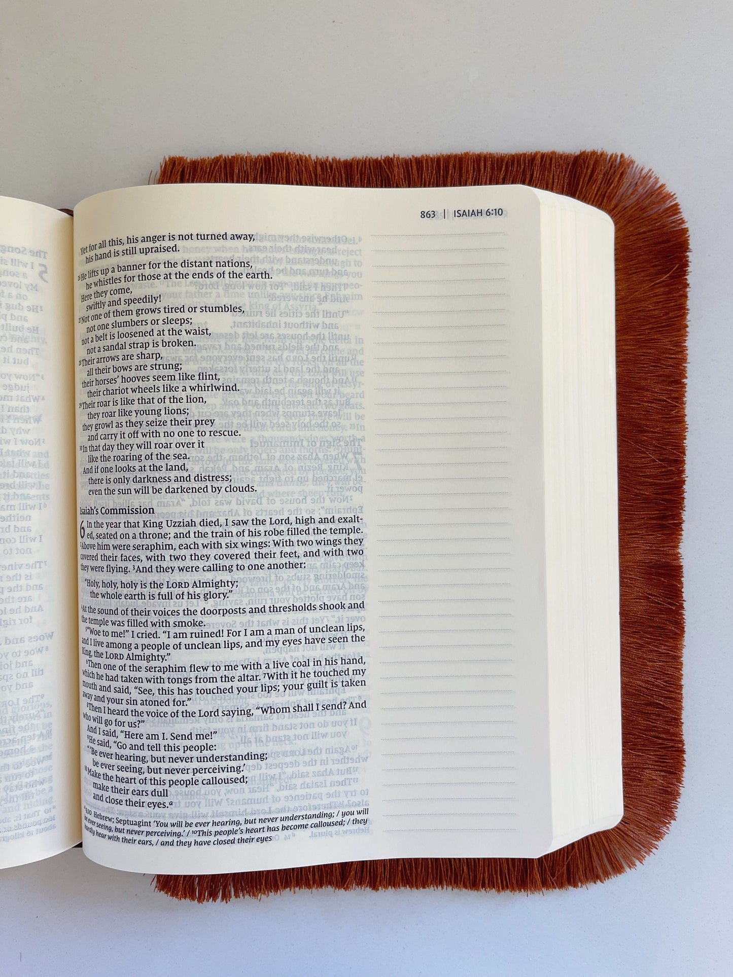 Rust - Bible Fringe