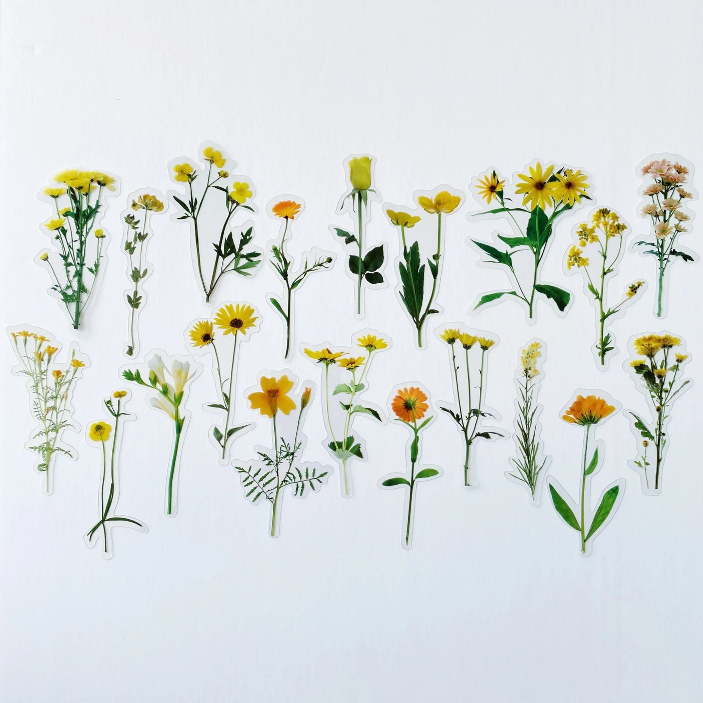Sunny Days Journaling Sticker Pack (20ct)