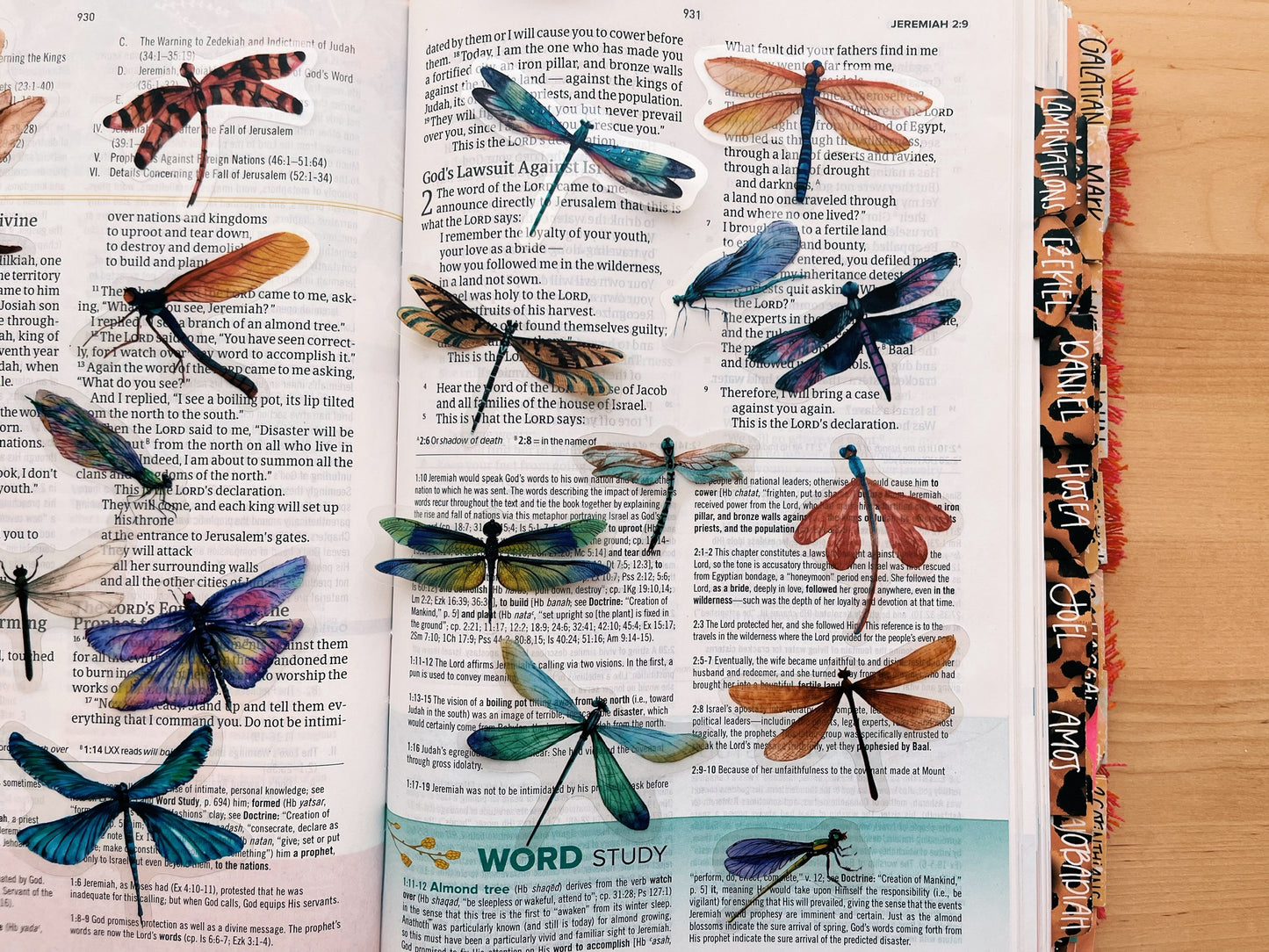 Dragonflies Journaling Sticker Pack (20ct)