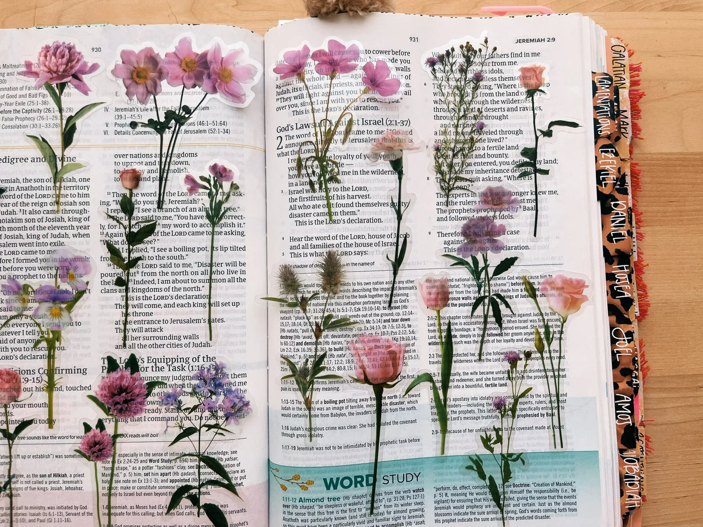 Peony Pink Journaling Sticker Pack (20ct)