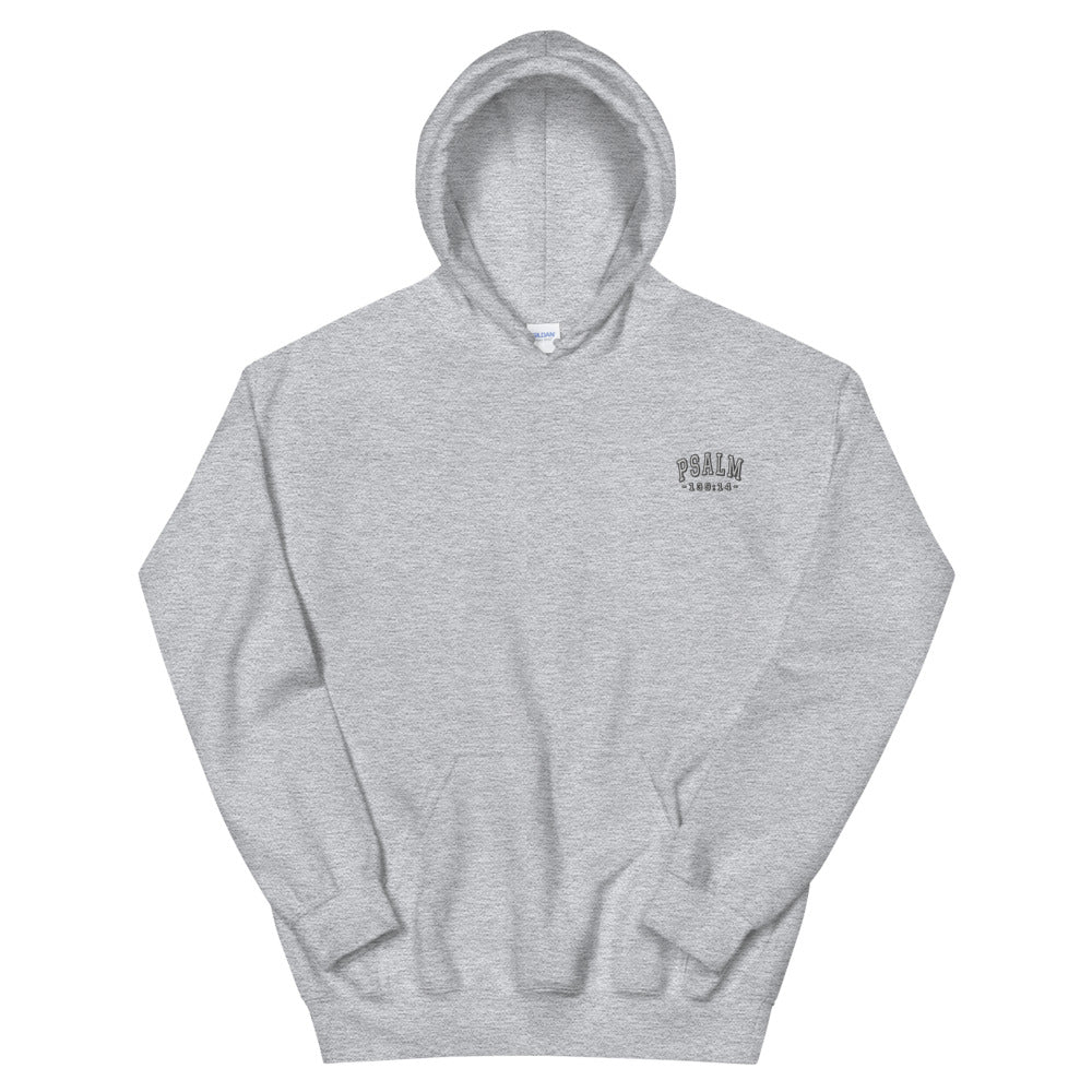 Psalm 139:14 Varsity Hoodie
