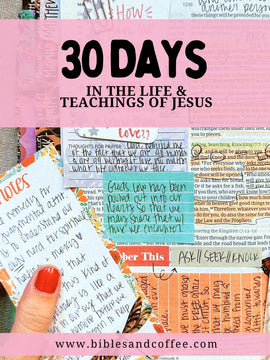 30 Days in the Life & Teachings of Jesus [Digital Download]