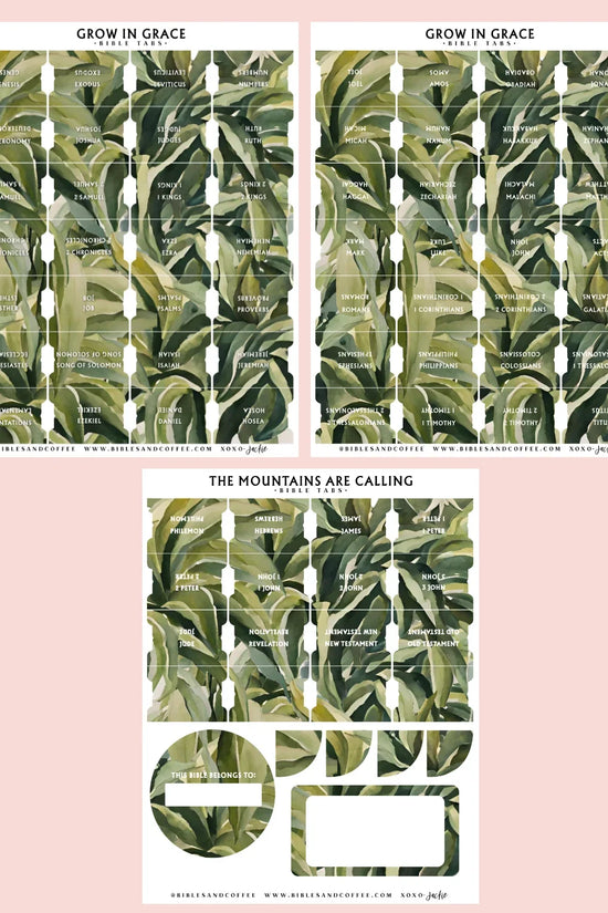 Grow in Grace Bible Tabs