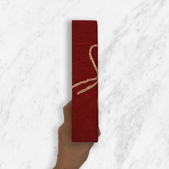 [SYO] Adventure is Out There Canvas Bible