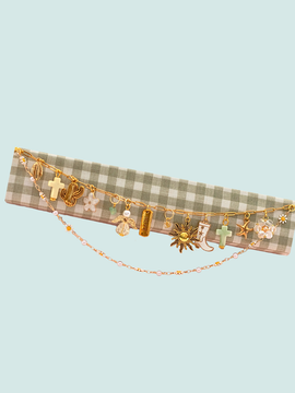 Desert Beauty Bible Charms