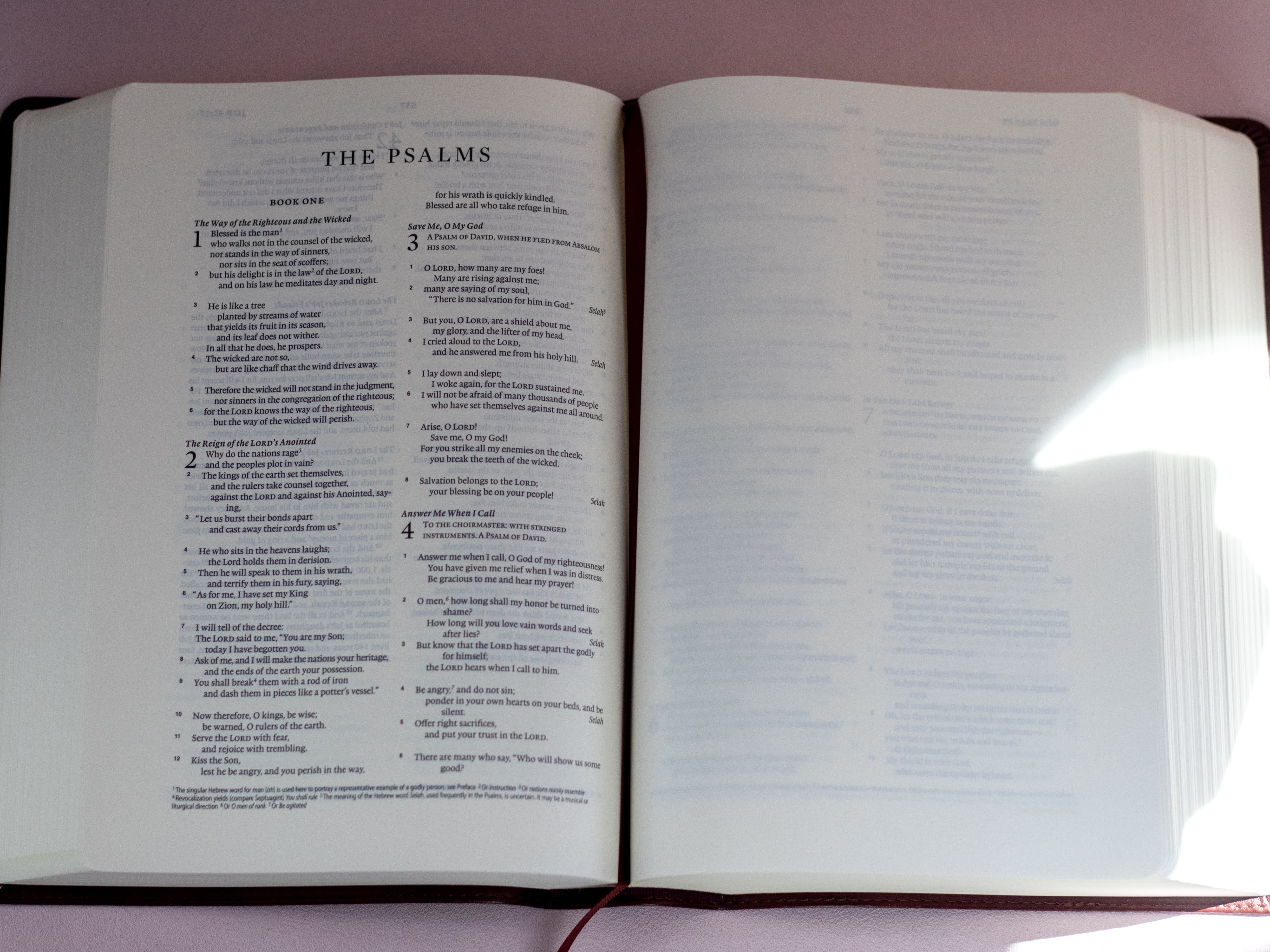 files/ESV_INTERLEAVED.jpg
