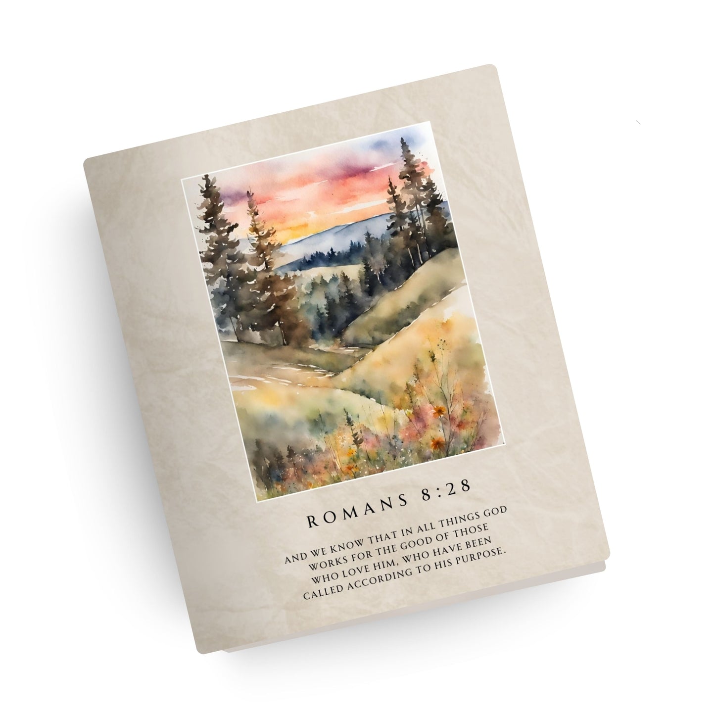 His Purpose Canvas Bible