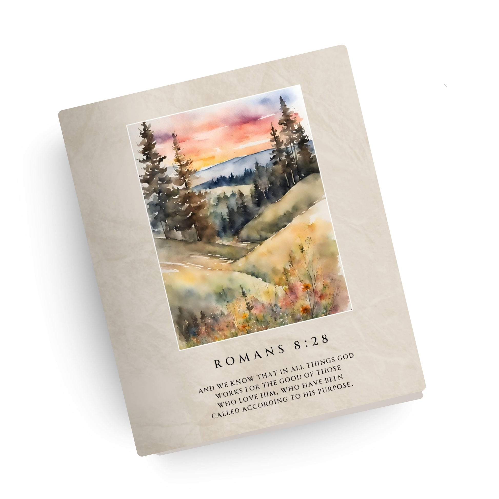 His Purpose Canvas Bible