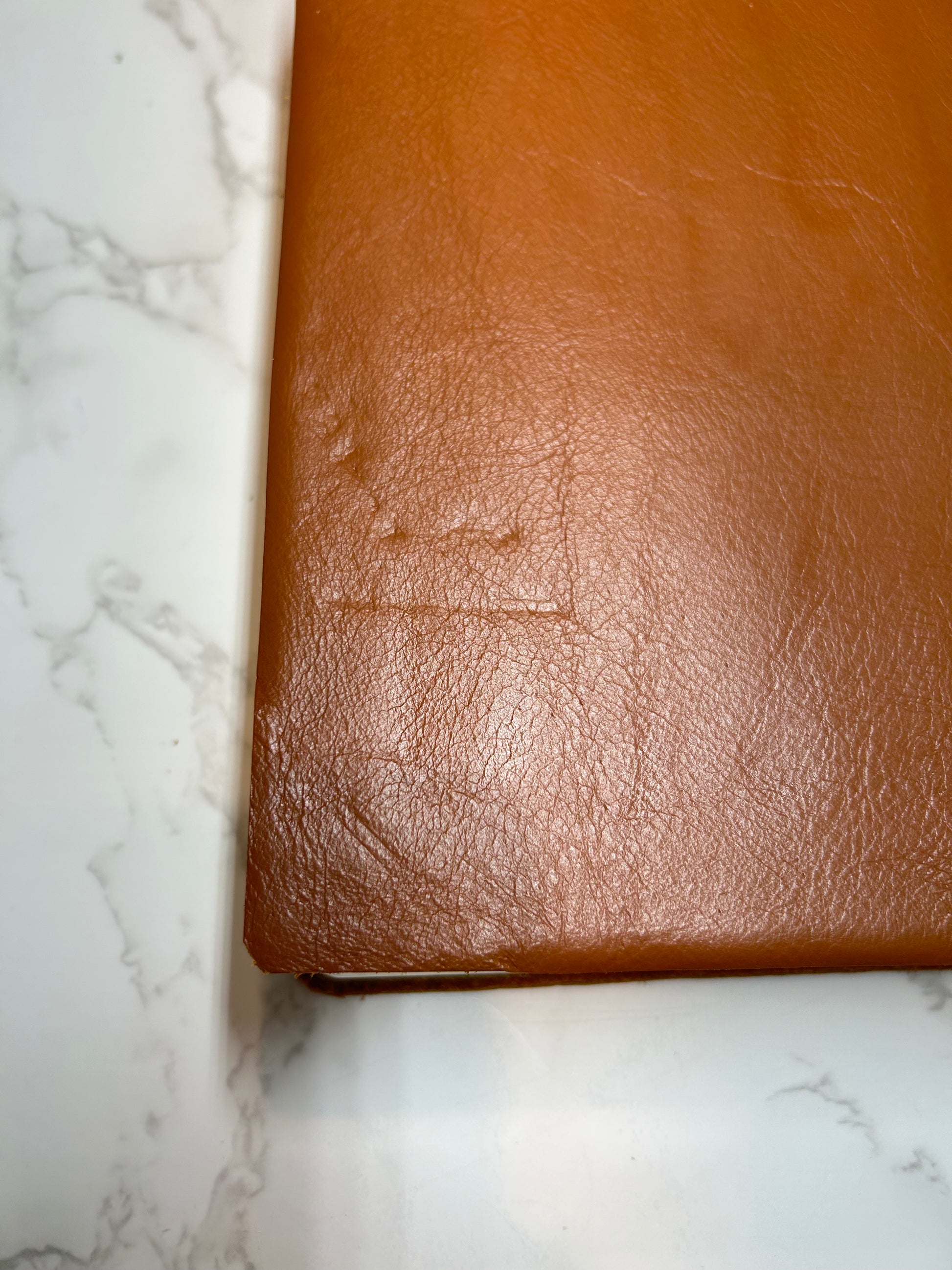 (Imperfect) NIV Jeremiah 29:11 Sunflower Engraved Bible [with initials MSH]