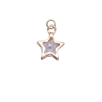 Star Bible Charm