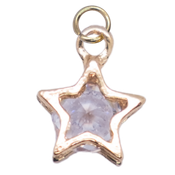 Star Bible Charm