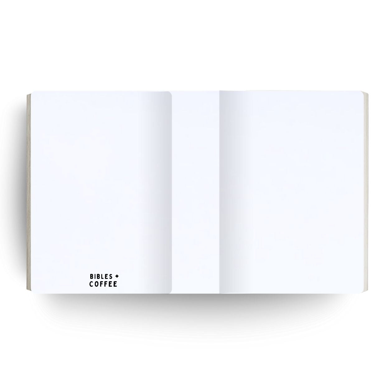 The Minimalist Engraved Bible