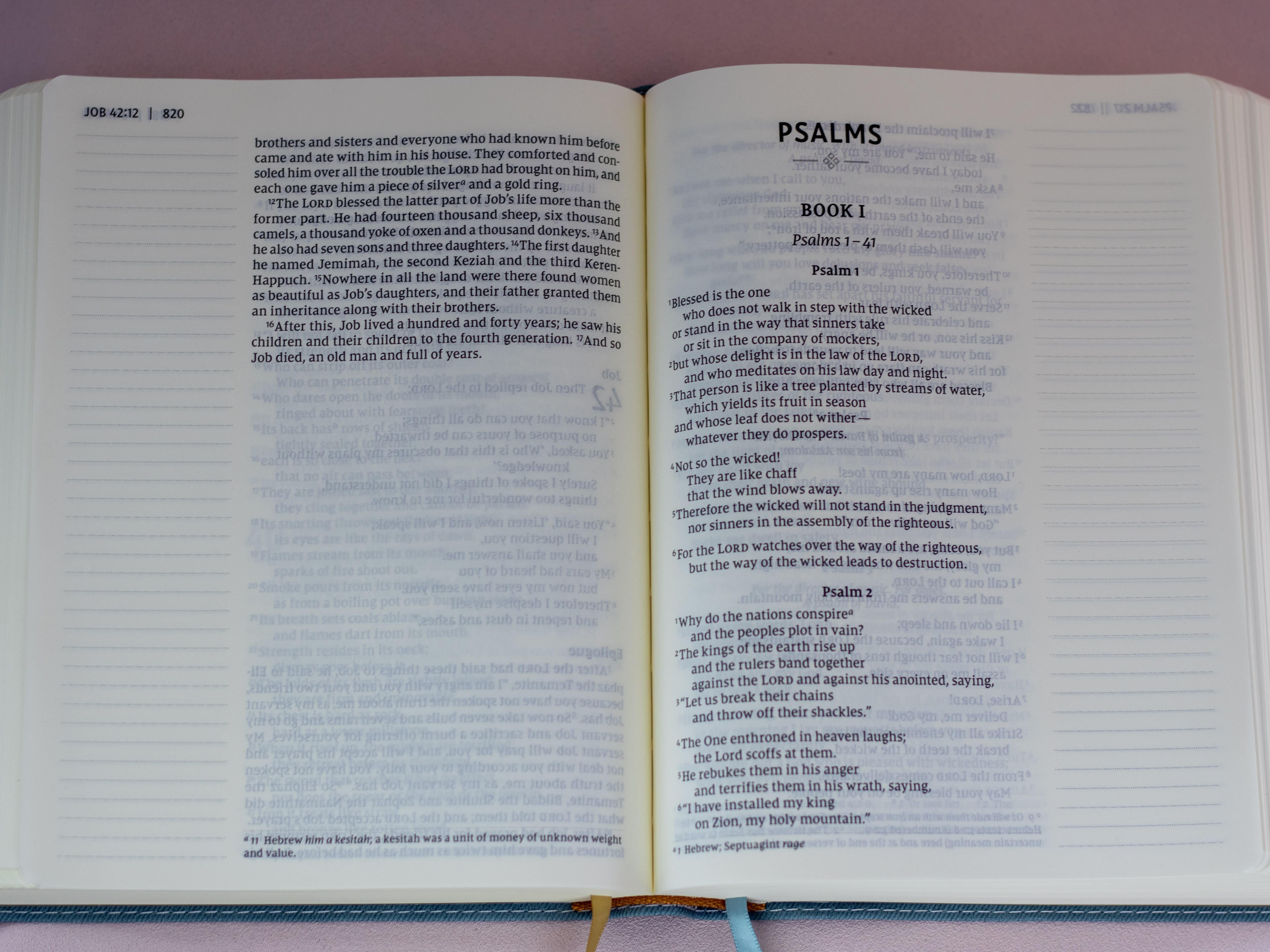 files/NIV_LARGE_JOURNALING.jpg