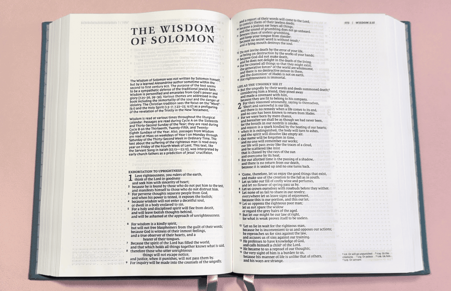 files/NRSV-Video-Still_1.png