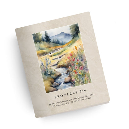 Steady Stream Canvas Bible