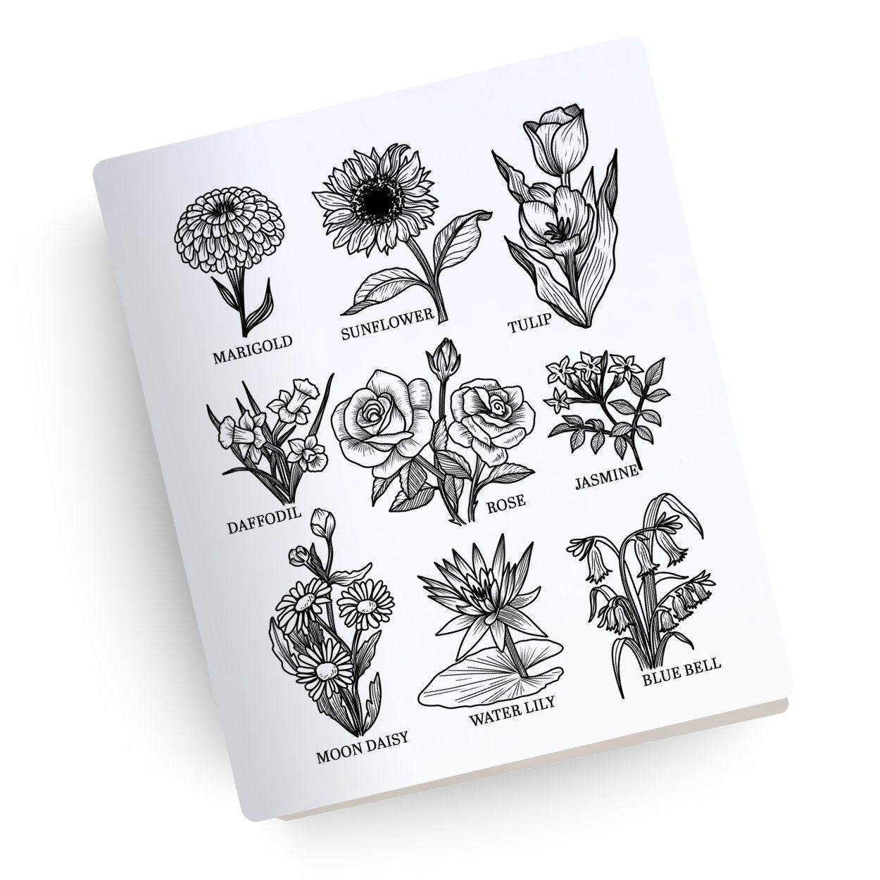 Wildflowers Engraved Bible