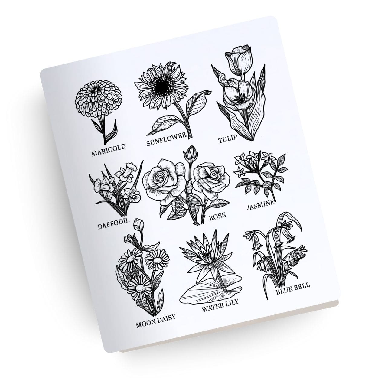 [SYO] Wildflowers Engraved Bible