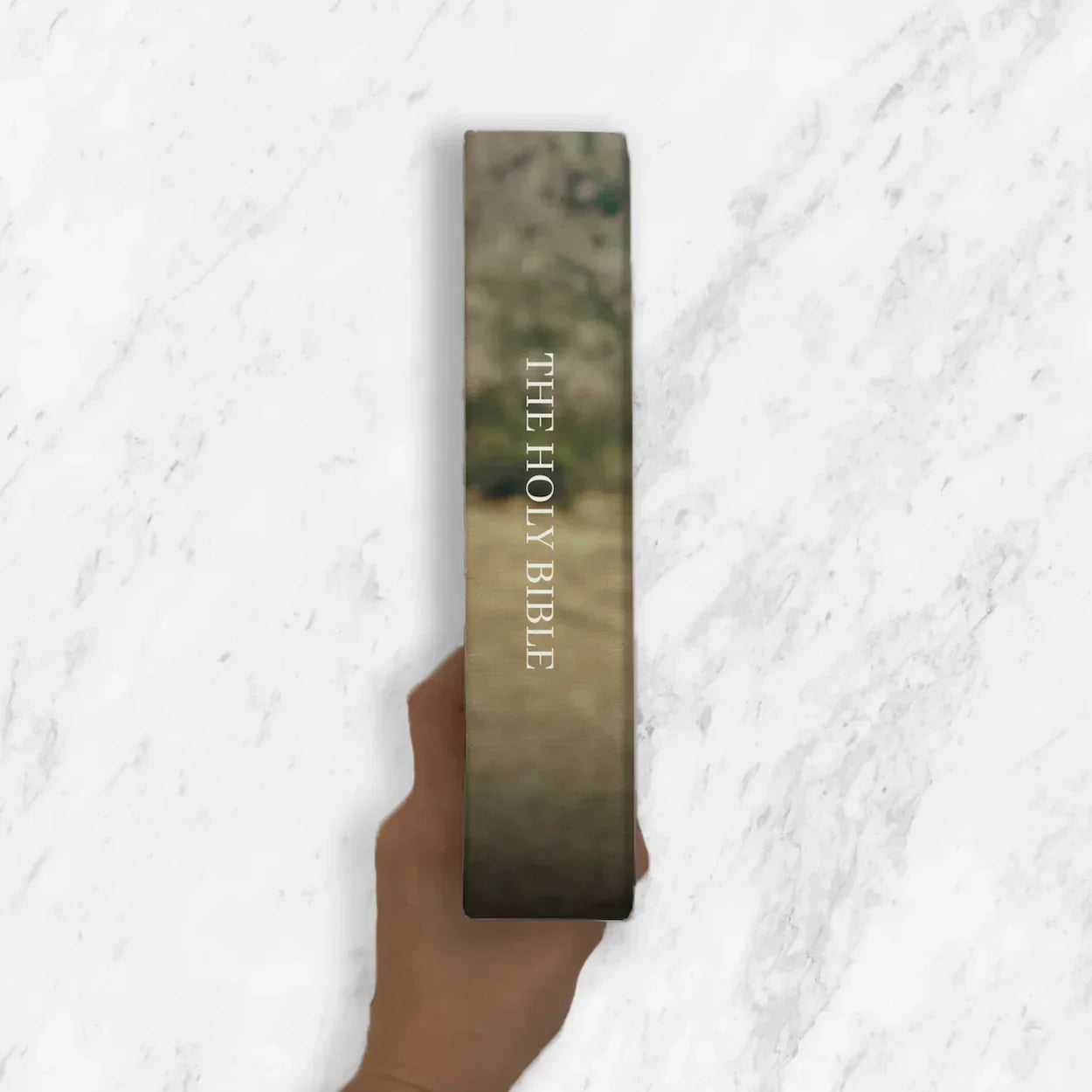 A Thousand Years Wedding / Anniversary Bible