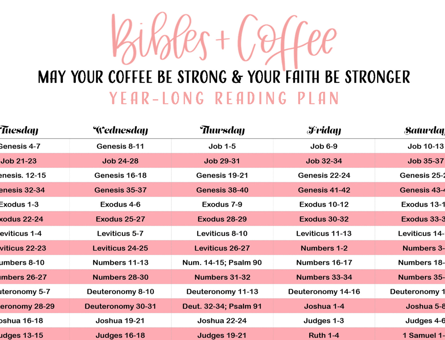 365 Day Chronological Reading Plan (Digital Download) - Bibles and Coffee