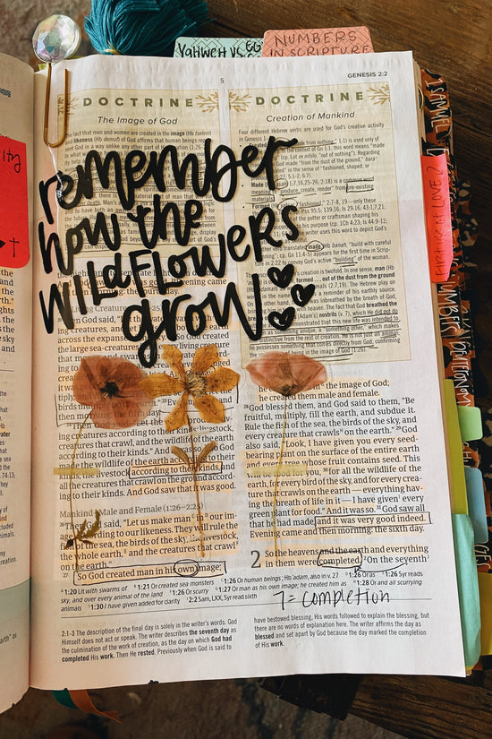 Wildflowers Journaling Sticker Pack (20ct)