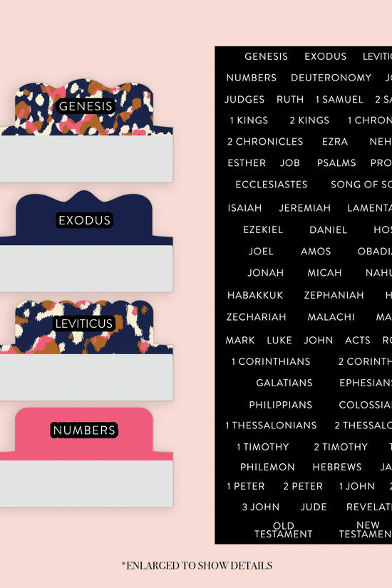 Blue Cheetah - Repositionable Tabs Set