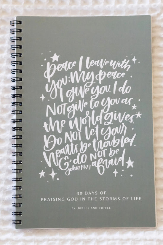 Praising God 30 Day Devotional Journal