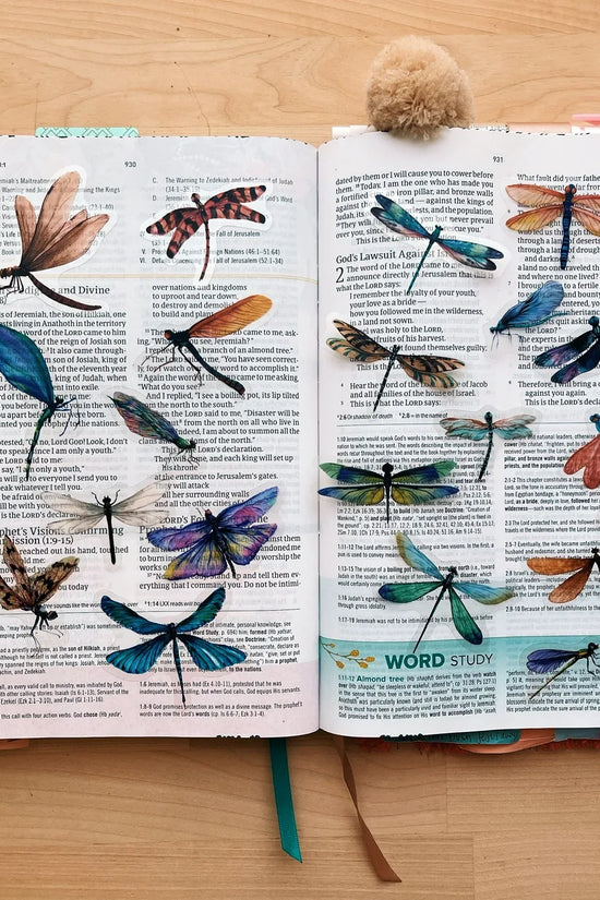 Dragonflies Journaling Sticker Pack (20ct)