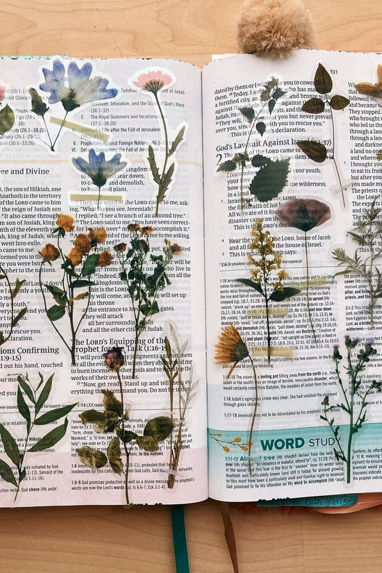 Wildflowers Journaling Sticker Pack (20ct)