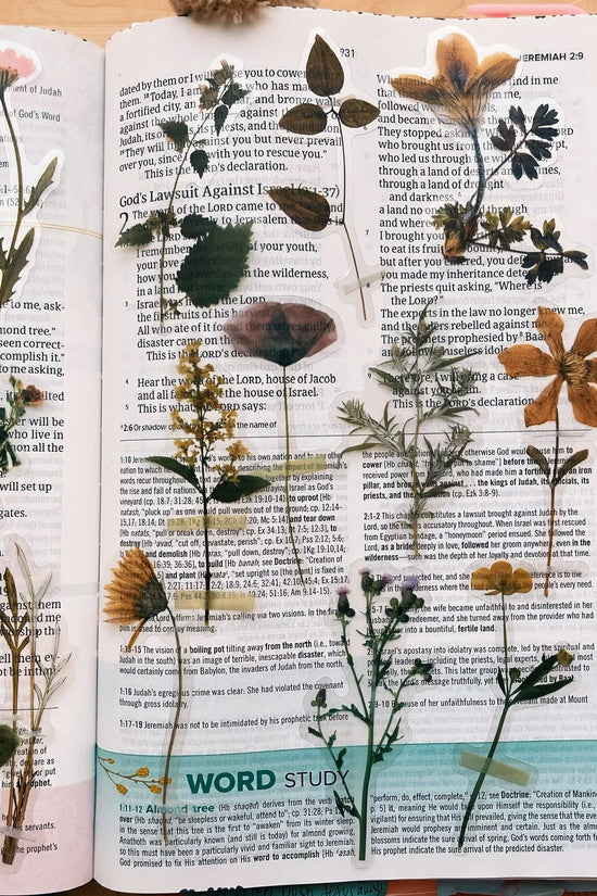 Wildflowers Journaling Sticker Pack (20ct)