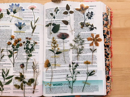 Wildflowers Journaling Sticker Pack (20ct)