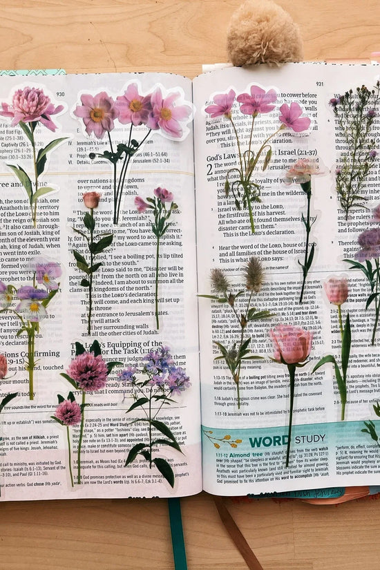 Peony Pink Journaling Sticker Pack (20ct)