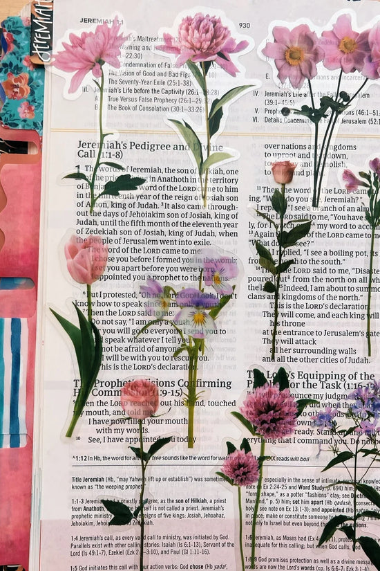 Peony Pink Journaling Sticker Pack (20ct)