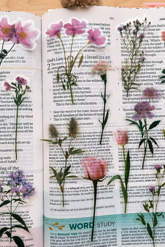 Peony Pink Journaling Sticker Pack (20ct)