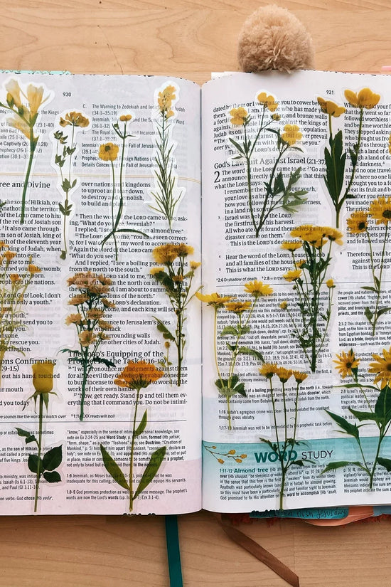 Sunny Days Journaling Sticker Pack (20ct)