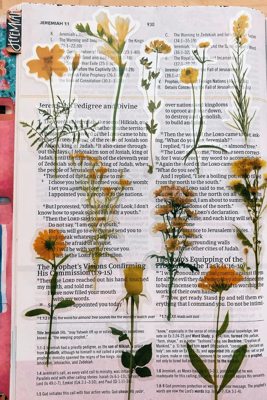 Sunny Days Journaling Sticker Pack (20ct)