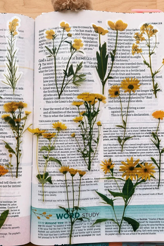 Sunny Days Journaling Sticker Pack (20ct)