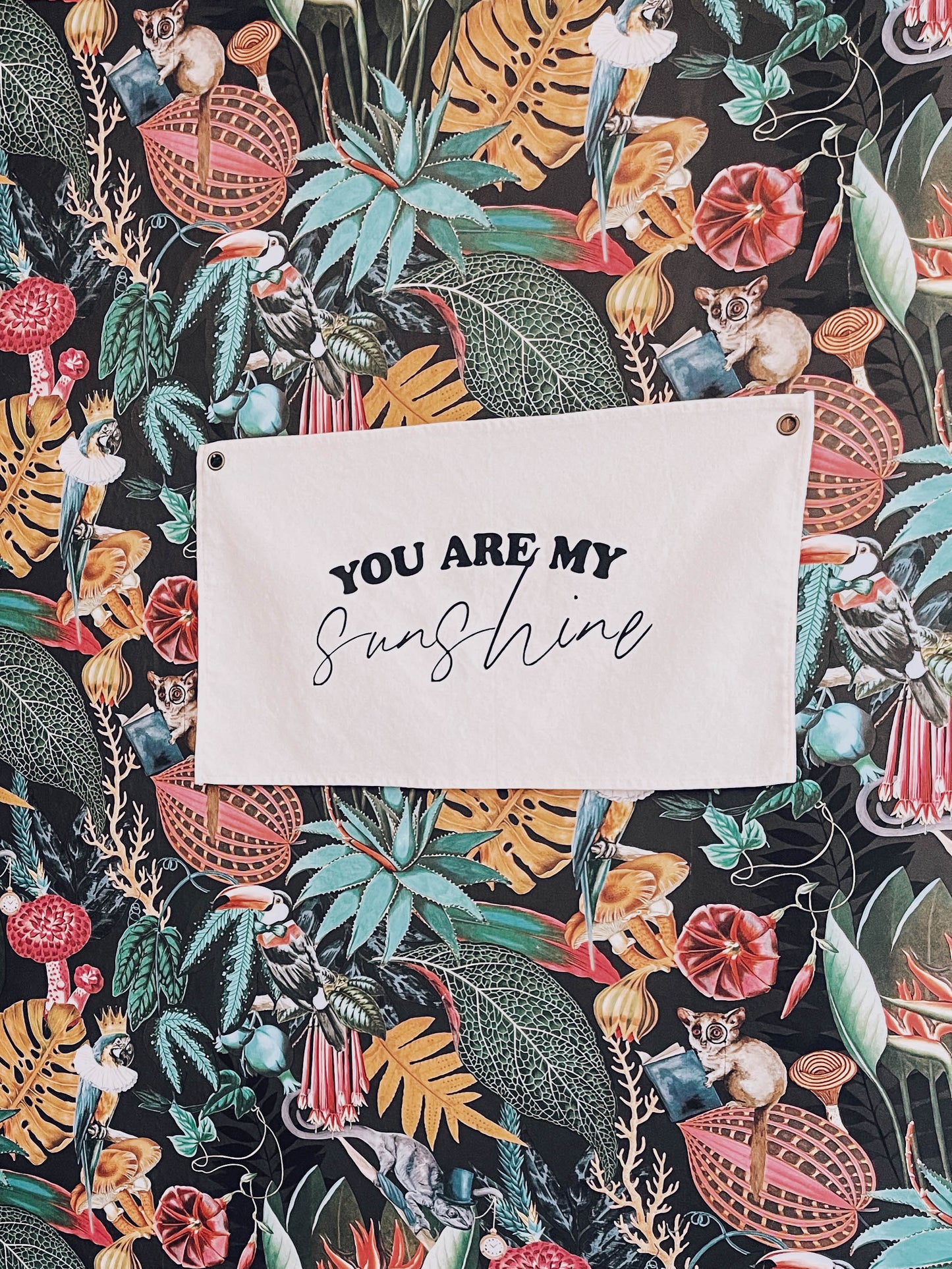 You Are My Sunshine Canvas Banner