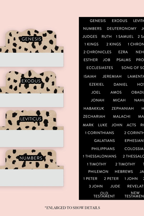 Leopard - Repositionable Tabs Set
